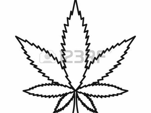 640x480 Pot Leaf Drawing