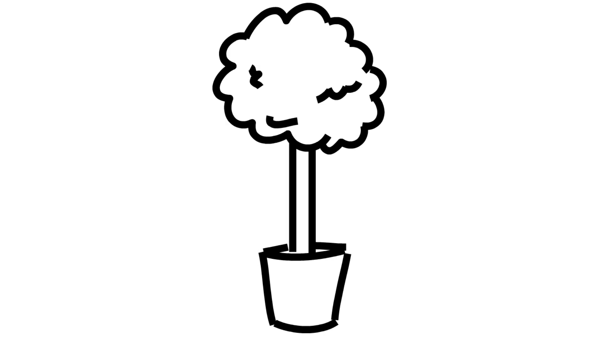 1920x1080 Plant In A Pot Flower Line Drawing Illustration Animation