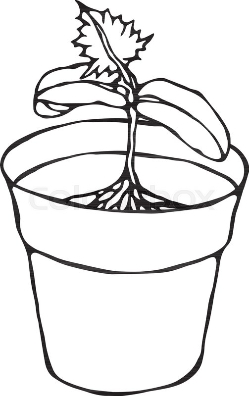 503x800 Flower Pot With Soil Seed, Sprout Stock Vector Colourbox
