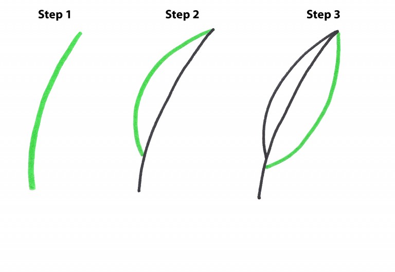 768x530 How To Easily Draw A Pot Leaf Step