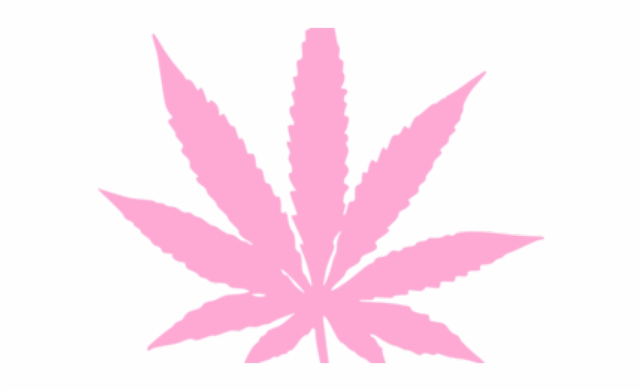  Pot Leaf Drawing Step By Step Free download on ClipArtMag