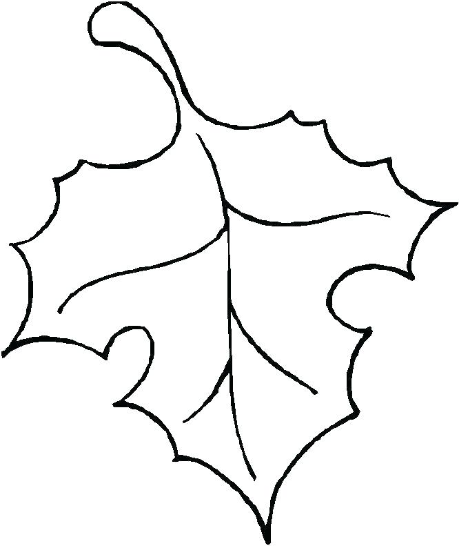 666x791 Simple Leaf Outline