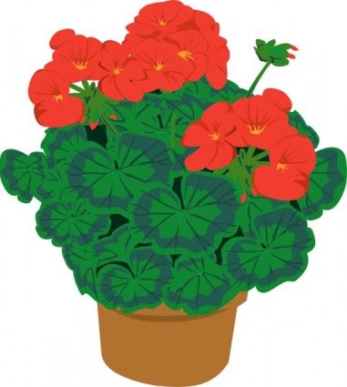 381x425 Geranium In Pot Clip Art Free Vector In Open Office Drawing