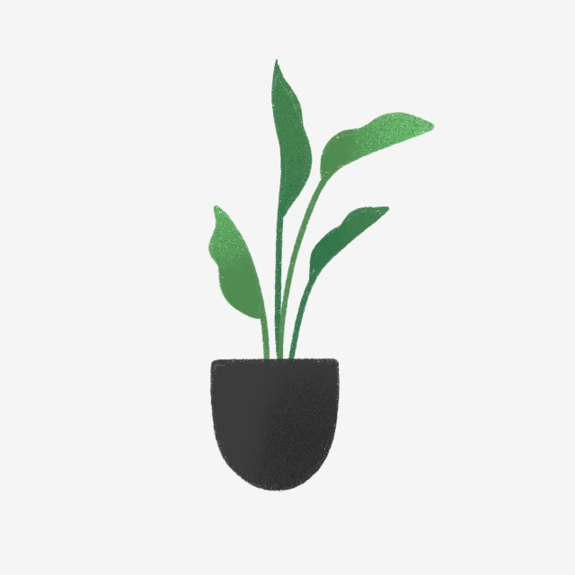 640x640 Hand Drawn Cute Home Plant In Black Pot, Drawing, Leaf, Nature Png