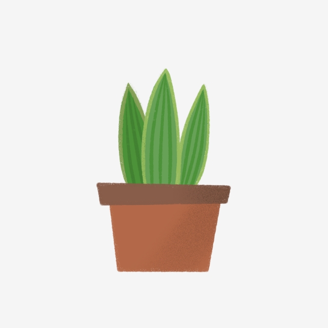 640x640 Hand Drawn Cute Pot Plant, Drawing, Nature, Hand Drawn Png Clipart