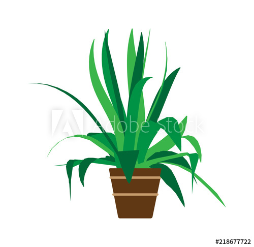 500x486 Indoor Pot Plant Home Vector Floral Green Cartoon Interior Icon