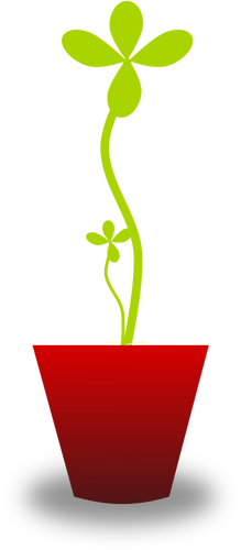 219x500 Vector Drawing Of Tender Green Plant In Red Pot