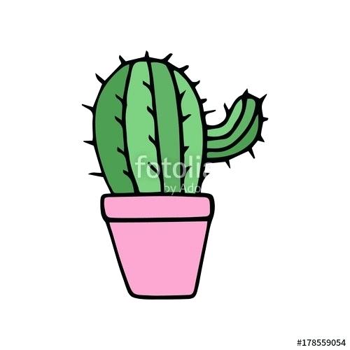 500x500 Cactus Plant Drawing Drawing Of A Cactus In A Plant Pot Vector