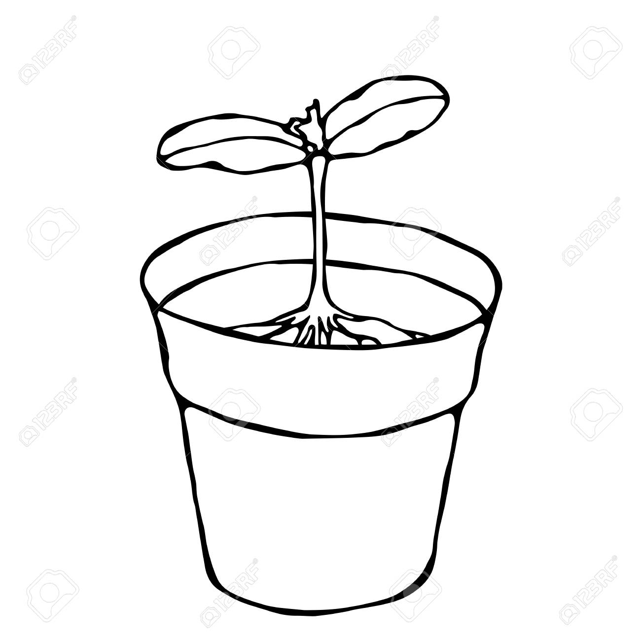 1300x1300 Drawn Pot Plant Plant Seed