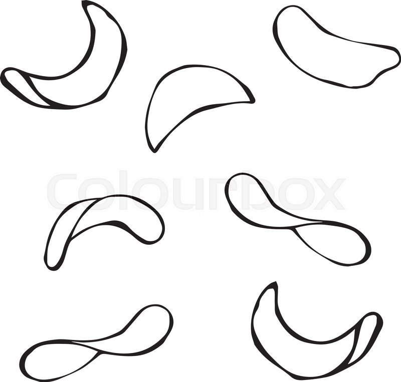 800x763 Vector Realistic Illustration Set Of Stock Vector Colourbox