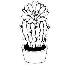Potted Cactus Drawing