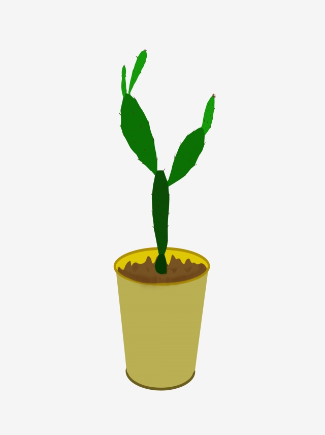 640x856 Cactus Potted Green Plant Elements Drawn Plants,potted Plant
