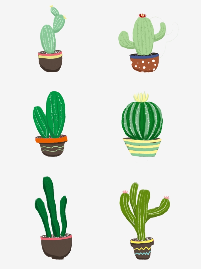 640x856 Commercial Cute Cartoon Hand Drawn Flower Pot Cactus Painted
