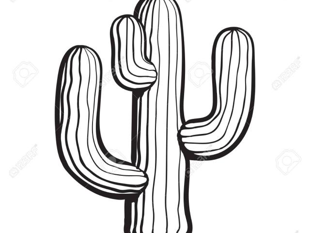 640x480 Drawn Cactus Free Clip Art Stock Illustrations
