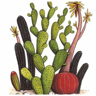 320x320 Hd Collection Of Free Cactus Vector Flower Drawing Download