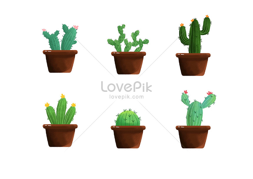 860x608 Hand Painted Cactus Potted Plants Illustration Image Picture Free