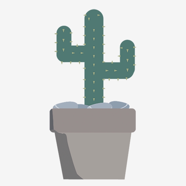 640x640 Cactus Flower Cute Potted Plant Hand Drawn Plants Cactus