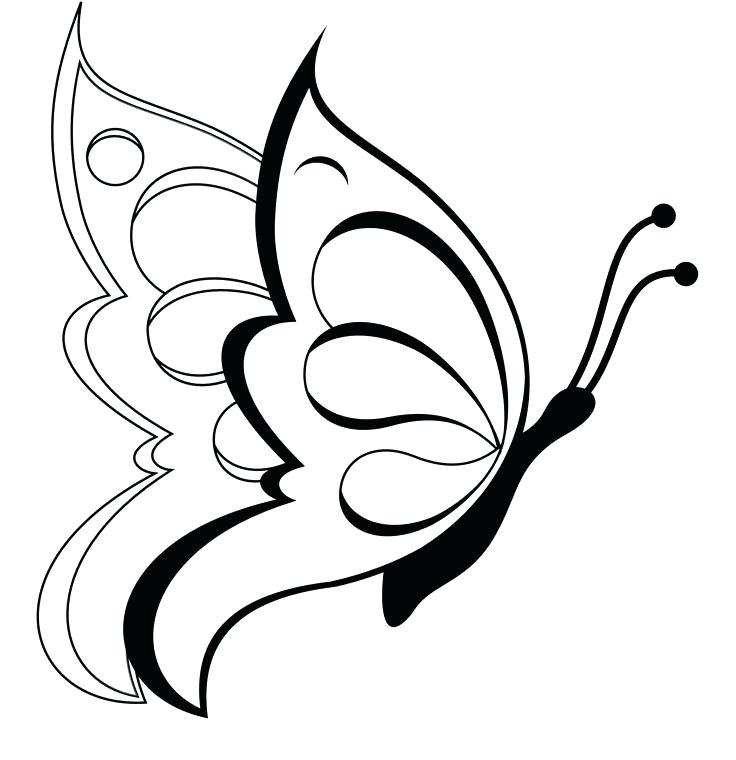 736x760 Black And White Flower Best Simple Butterfly Drawing Ideas Easy