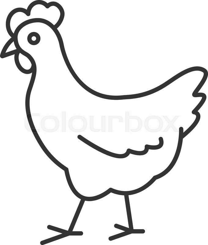 680x800 Chicken Linear Icon Poultry Farm Stock Vector Colourbox