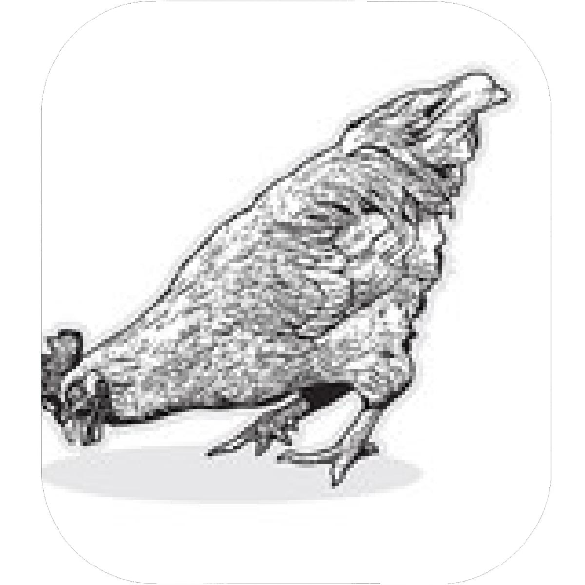 1200x1200 Designs Mein Mousepad Design Mousepad Selbst Designen