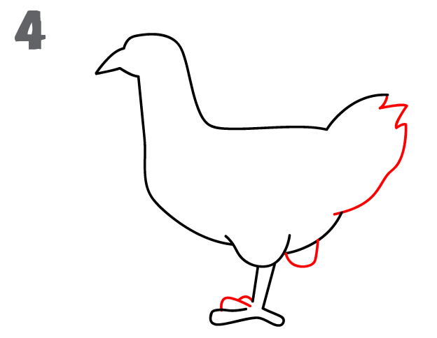 624x484 How To Draw A Chicken