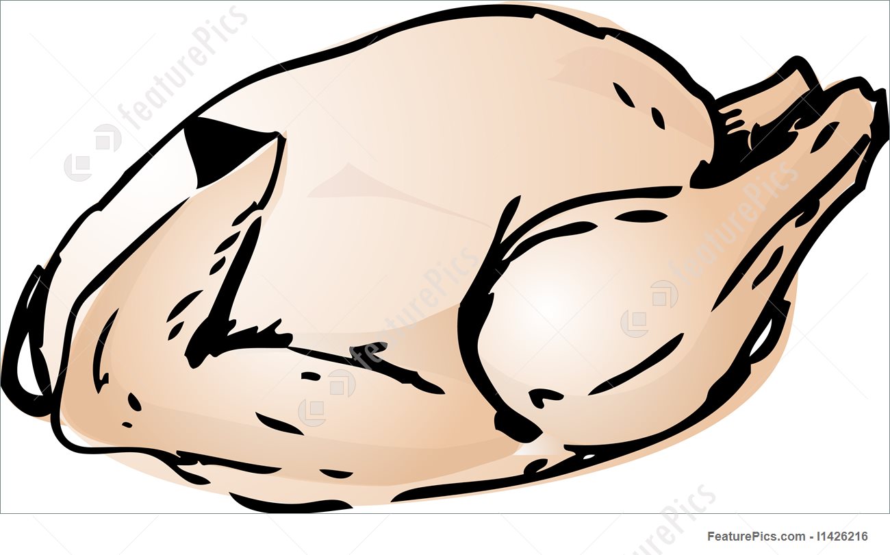 1300x810 Whole Raw Chicken Illustration