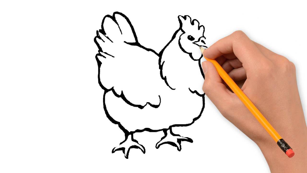 1280x720 Chicken Animals Pencil To Draw Step