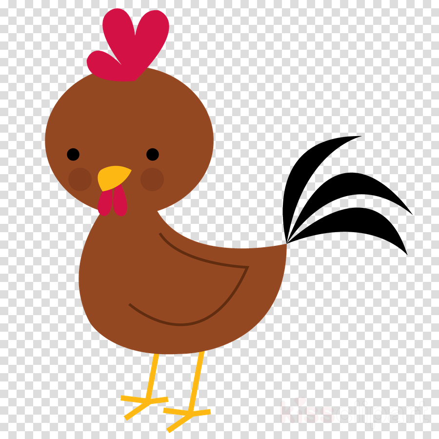 900x900 Chicken, Drawing, Duck, Transparent Png Image Clipart Free Download