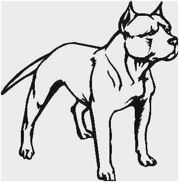 360x368 Pound Puppies Coloring Pages Fresh Kawaii Puppy Drawing