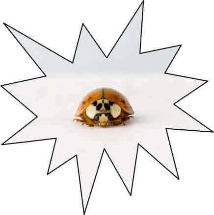 436x439 How To Crop Pictures In Powerpoint