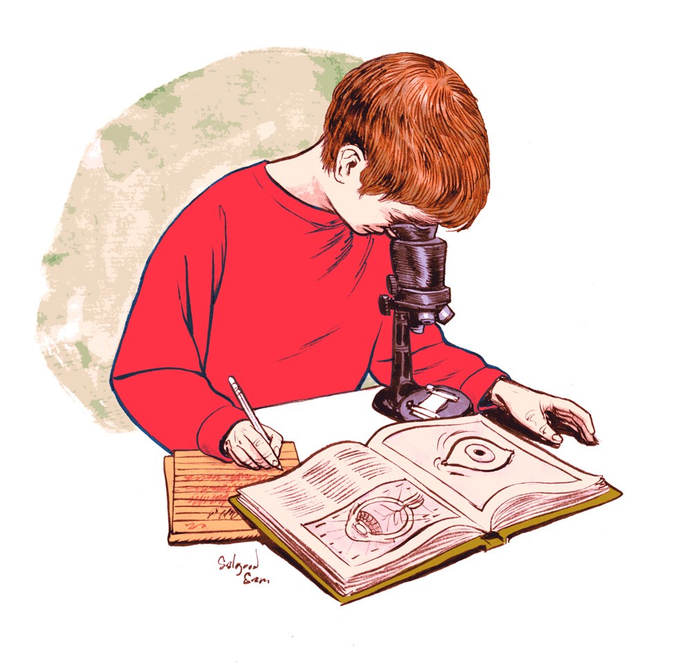 1000x957 Dynamic Drawing Archive Deliberate Practice