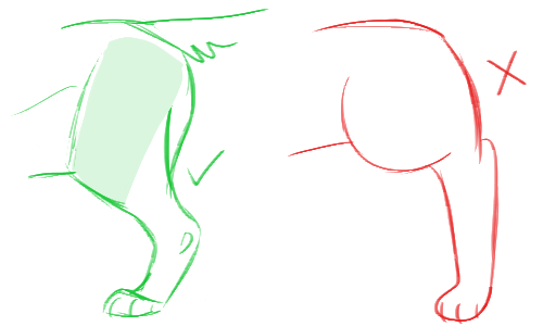 500x300 ref physiology in drawings, art