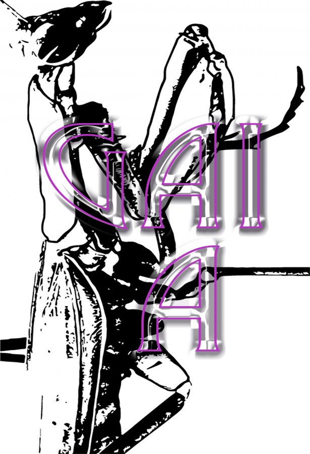 615x900 exhibitions polansky gallery