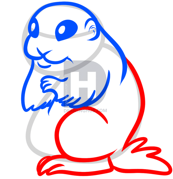 699x720 How To Draw A Prairie Dog, Step