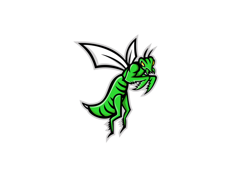 800x600 Praying Mantis Mascot