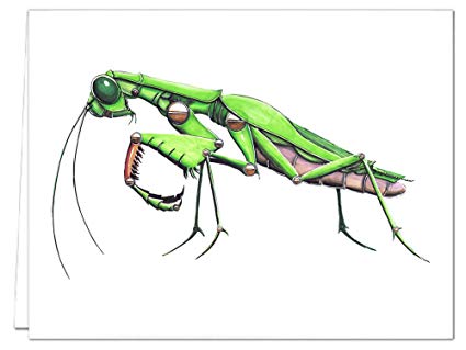 425x319 Mechanical Praying Mantis Note Card