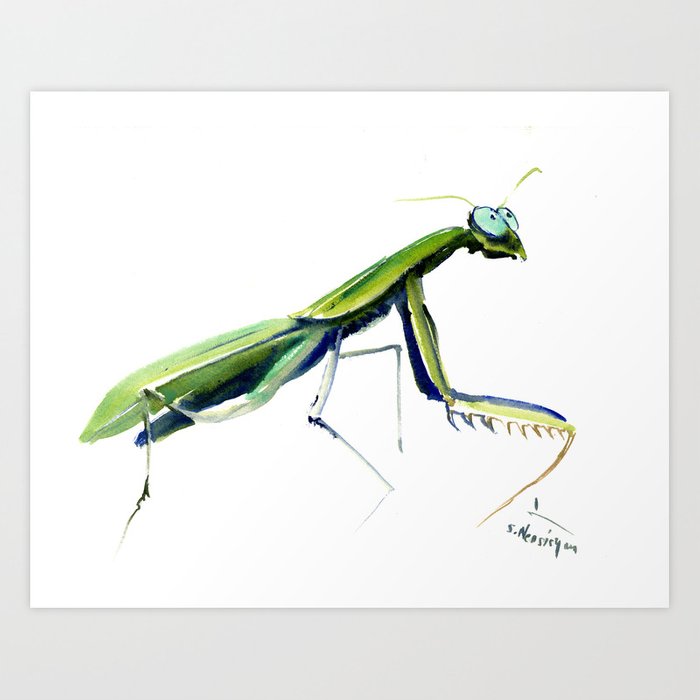 700x700 Praying Mantis Decor Art Print