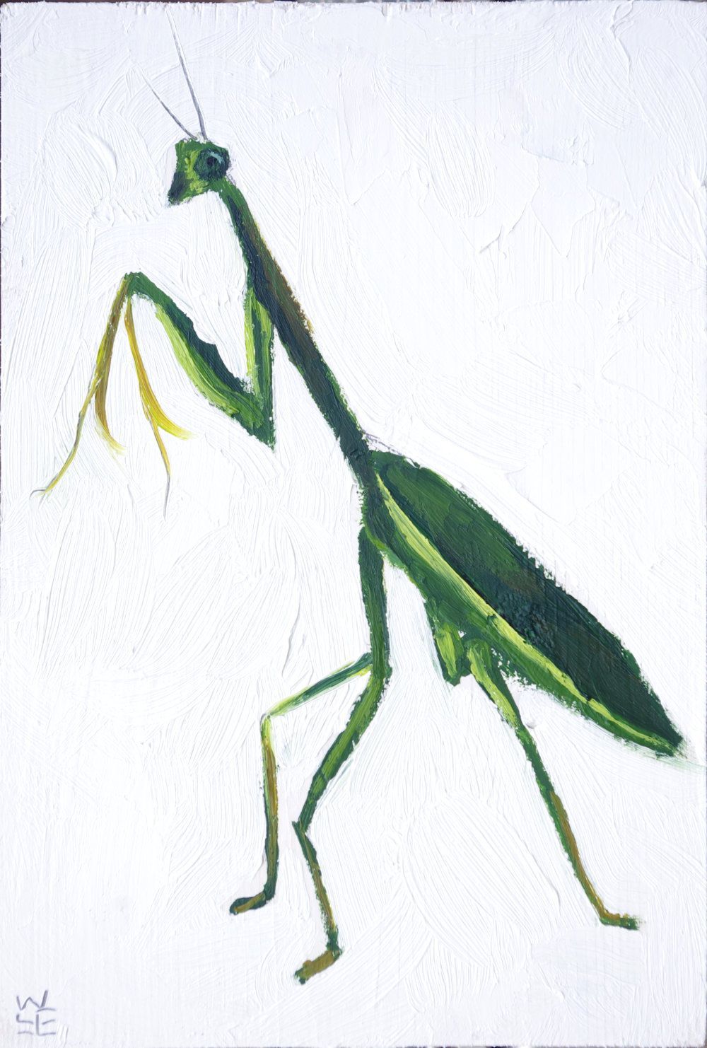 1000x1482 Praying Mantis Will Lineberger Eskridge
