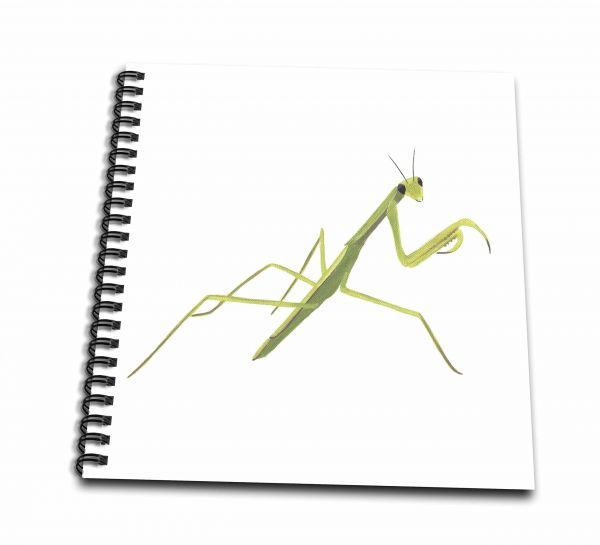 600x545 Cherylsart Insects