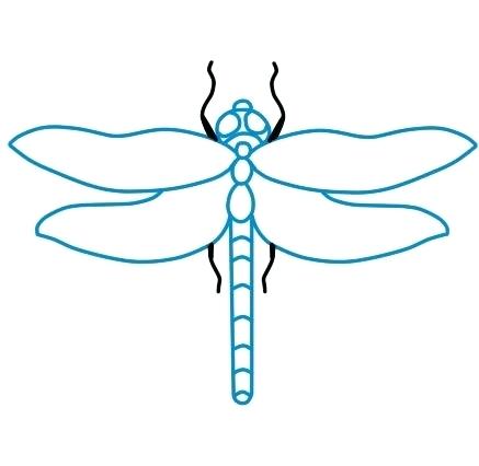 437x426 Easy To Draw Insects How To Draw A Praying Mantis Easy To Draw