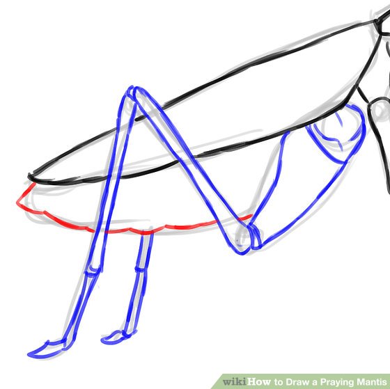 560x559 How To Draw A Praying Mantis Steps