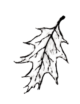 270x350 Fall Leaves, Leaf Art, Painting Pre K, K And Grade Watercolor