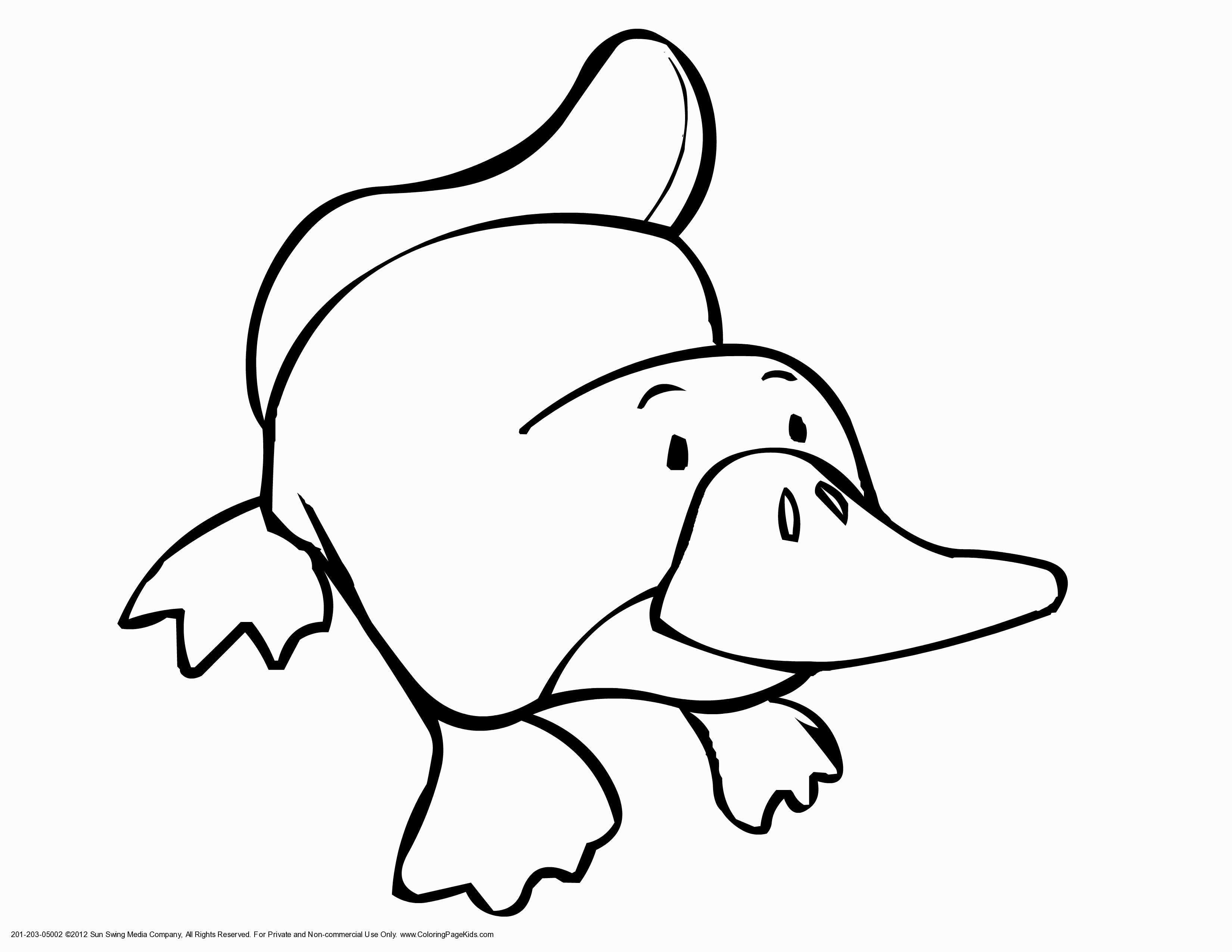 3300x2550 Preschool Coloring Pages Awesome Fall Coloring Pages For Pre K