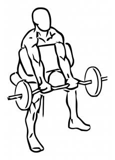 231x320 Preacher Curl With Barbell