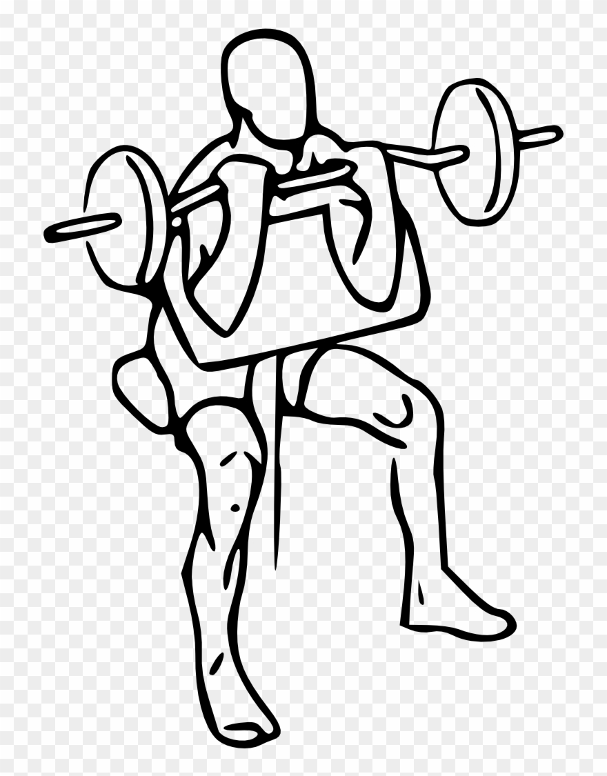 880x1125 biceps drawing workout