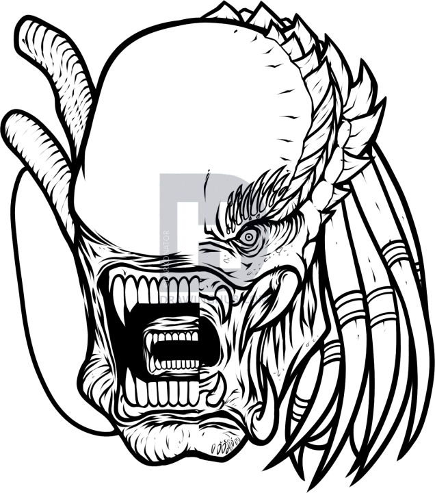 636x720 How To Draw Alien Vs Predator, Step