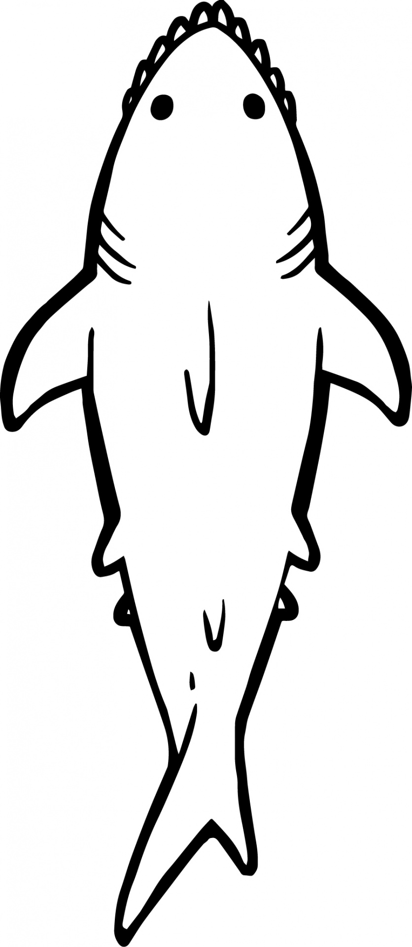 836x1920 Shark, Bite, Greatampnbspwhite, Predator, Fish