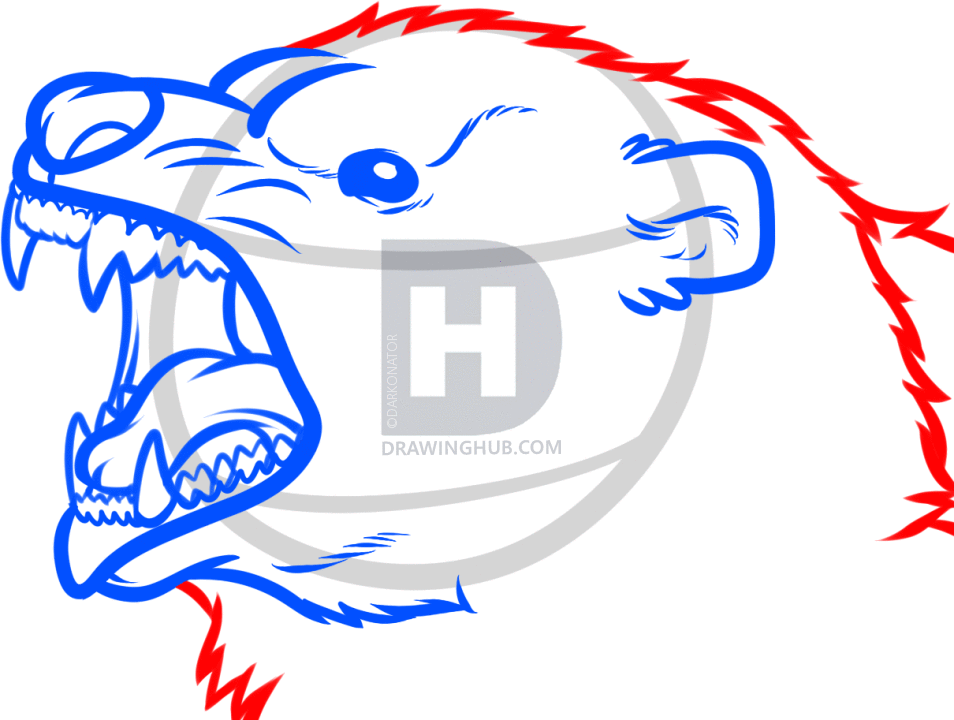 954x720 How To Draw A Bear Face, Grizzly Bear, Step