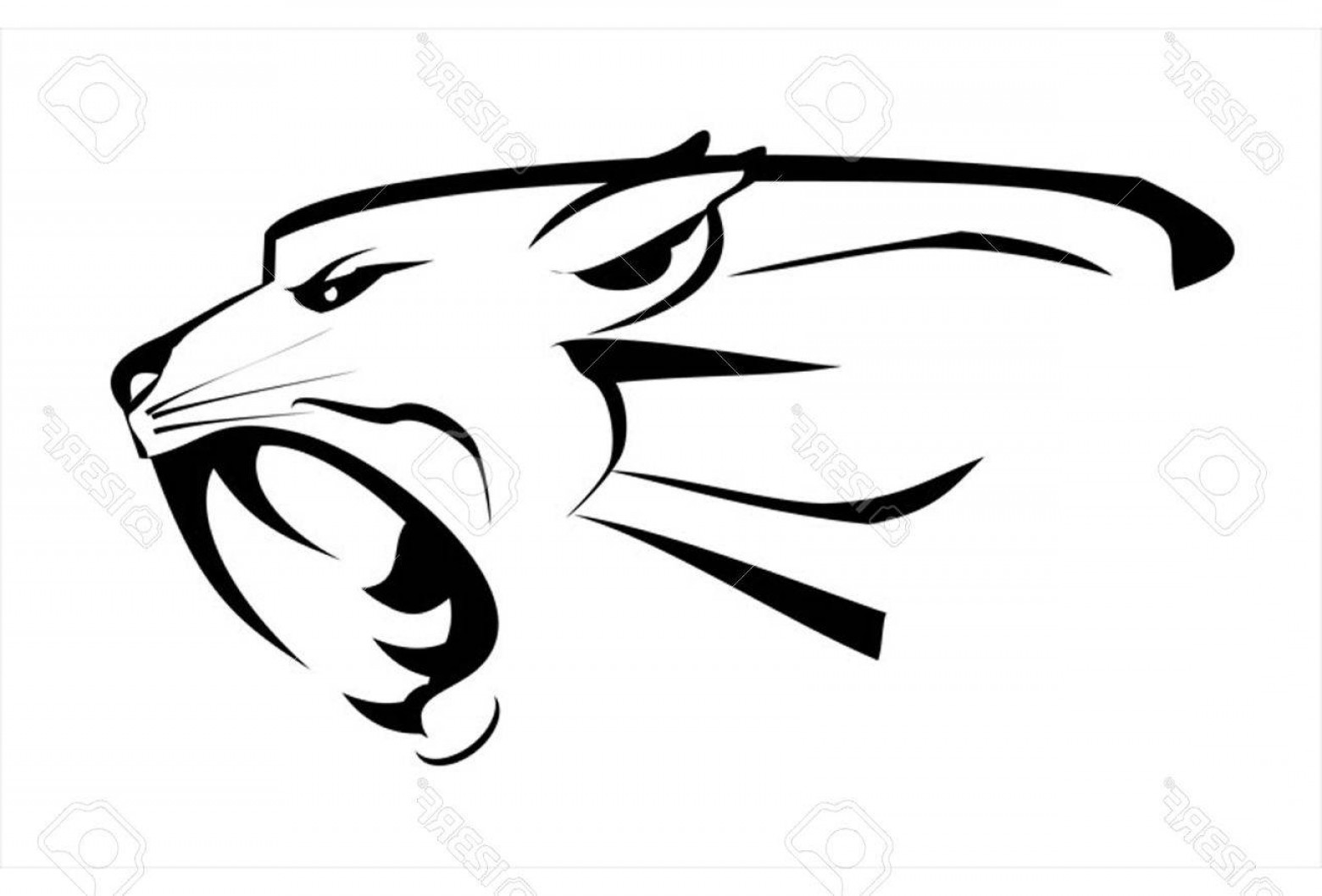1560x1058 photostock vector jaguar head roaring fang face fearless puma