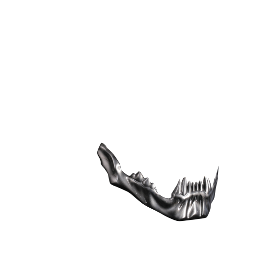 550x550 Street Helmets Predator Berserker